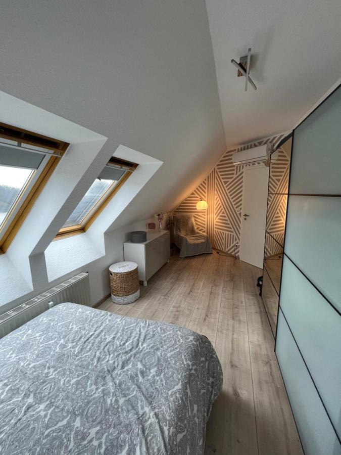 105 Qm Neues Klimatisiertes Appartment Fuer Familien Privater Parkplatz Chemnitz Exterior photo